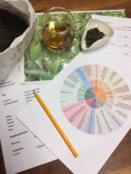Te Masterklasse - Oolong & Puerh for entusiaster