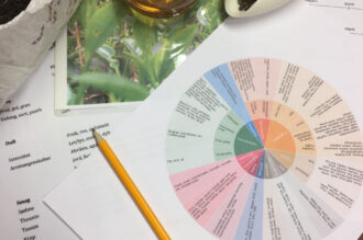 Te Masterklasse - Oolong & Puerh for entusiaster