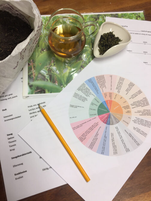 Te Masterklasse - Oolong & Puerh for entusiaster