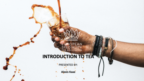 ESTA certified online tea course - Intro to tea